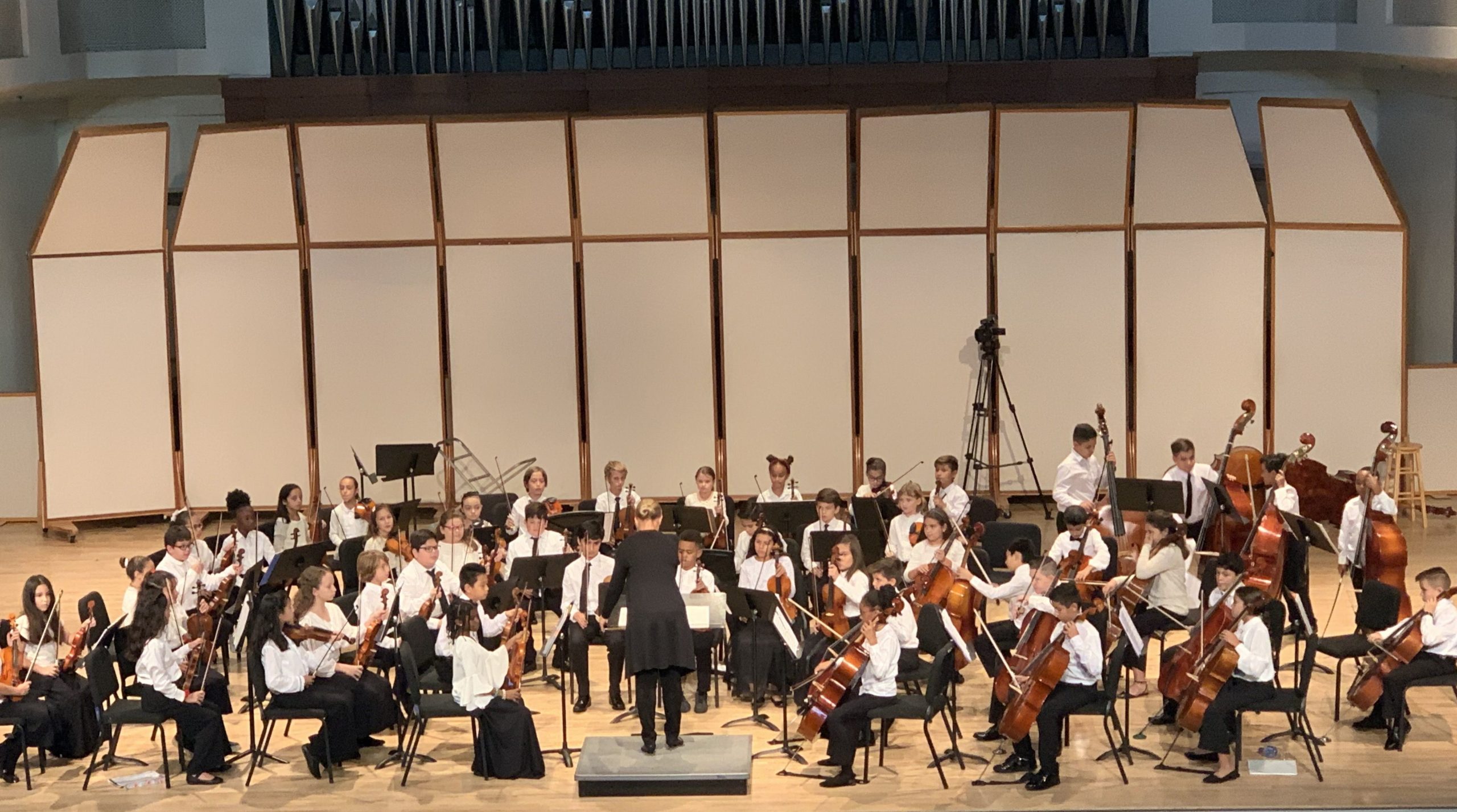 Academy Orchestra in 2019